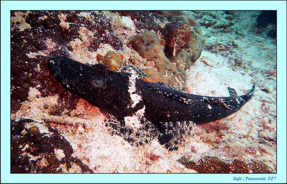 2011 - 08 - Borneo - Mantabuan 04